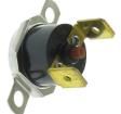 2455RM 80980261 Thermostats