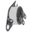3106 01980004 Thermostats