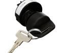 84829-02 Keylock Switches