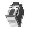 AML24FBE2AA06 Rocker Switches
