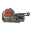 BX2D4L Limit Switches