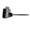 BZE6-RN18X1 Limit Switches