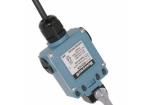 GXE51A1B Limit Switches