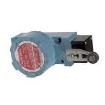 LSXA3K-1A Limit Switches