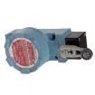 LSXD4L Limit Switches
