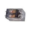 SZRLY21AC110120V General Purpose Relays