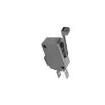 V15T16-CZ300A06-K Basic / Snap Action Switches