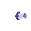 RVT1H4R7M0405 Aluminium Electrolytic Capacitors - SMD