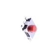 K2-1157SW-D4SB-04 Tactile Switches