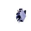 K5-1617SA-01 Basic / Snap Action Switches