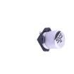 VT1E330MC054000CE0 Aluminium Electrolytic Capacitors - SMD