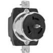 CS8169  Connectors