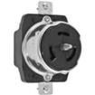 CS8269  Connectors