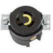 HBL4713 AC Power Plugs & Receptacles