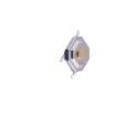 1TS001G-2300-1500-CT Tactile Switches