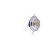 1TS001G-2400-1500-CT Tactile Switches
