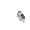 1TS002G-2600-3500-CT Tactile Switches