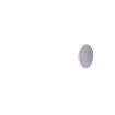 603-L15S-160 Tactile Switches