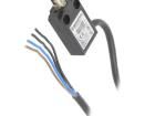 I49-U1Z RIW Limit Switches