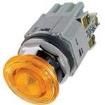 ALD39911DN-G-24V Pushbutton Switches