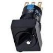 AS6H-2Y2P Rotary Switches