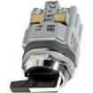ASD21L11N Control Switches