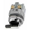 ASD2L01N-116 Control Switches