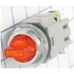 ASLD339920DN-A-24V Pushbutton Switches