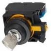 CW1K-2AE21 Keylock Switches