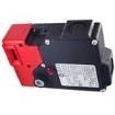 HS1L-DT44KMSRM-R Interlock Switches