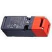 HS5D-11RN Interlock Switches