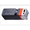 HS5D-11ZRN Interlock Switches