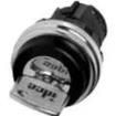 HW1K-2CF10 Keylock Switches