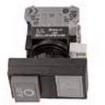 HW7D-B12F1001-GR1 Pushbutton Switches
