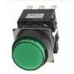 LB1L-M1T64W Pushbutton Switches