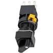 LB2S-2T6 Control Switches