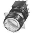 LW1F-2C30-R Control Switches