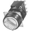 LW1F-2C60M-GD Control Switches