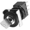 LW6K-3C7G Keylock Switches