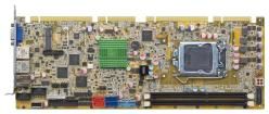 PCIE-H810-R10 Embedded Solutions