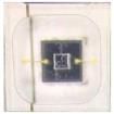 IN-C33DTDU1  Optoelectronics