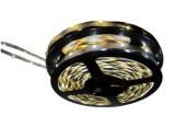 12V-NB-CW-01M  Optoelectronics