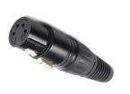 IO-XLR4-F-BK  Connectors