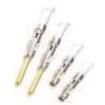 T2P24FC1SZ Automotive Connectors