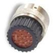 TNM6U16-0019S1L Automotive Connectors