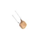 A250-145 Resettable Fuses - PPTC