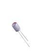 PCR1DCN221MF08LL25WP Aluminium Organic Polymer Capacitors