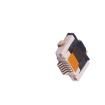 F0502WR-S-06PNLNG1G00L FFC & FPC Connectors