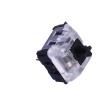 CPG151101S03 Pushbutton Switches