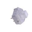 CPG1511F01S02 Tactile Switches